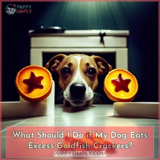 What Should I Do if My Dog Eats Excess Goldfish Crackers?