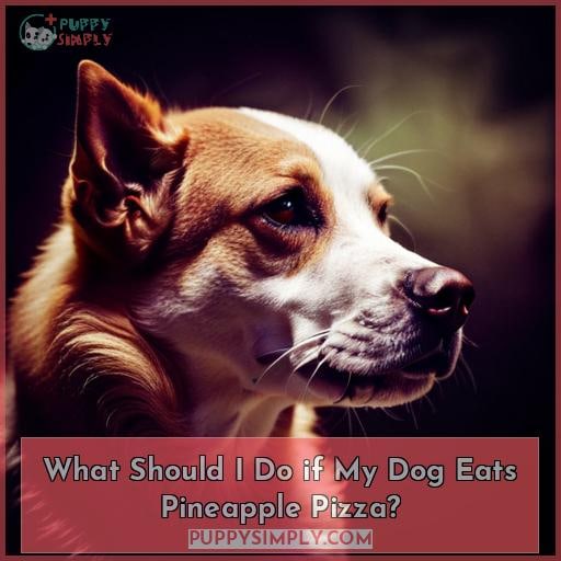 What Should I Do if My Dog Eats Pineapple Pizza?