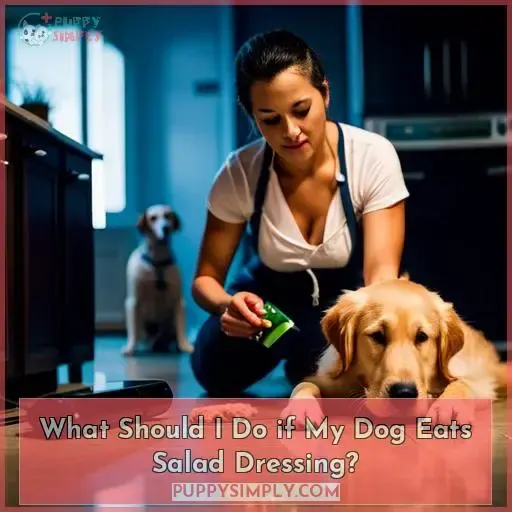 What Should I Do if My Dog Eats Salad Dressing