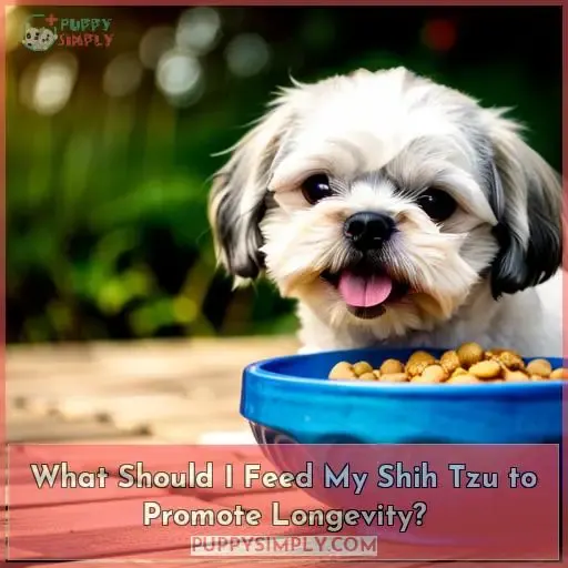 What Should I Feed My Shih Tzu to Promote Longevity?