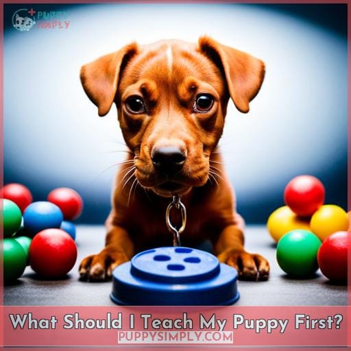 What Should I Teach My Puppy First?