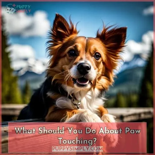 What Should You Do About Paw Touching?