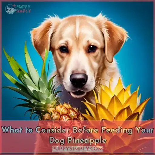 What to Consider Before Feeding Your Dog Pineapple