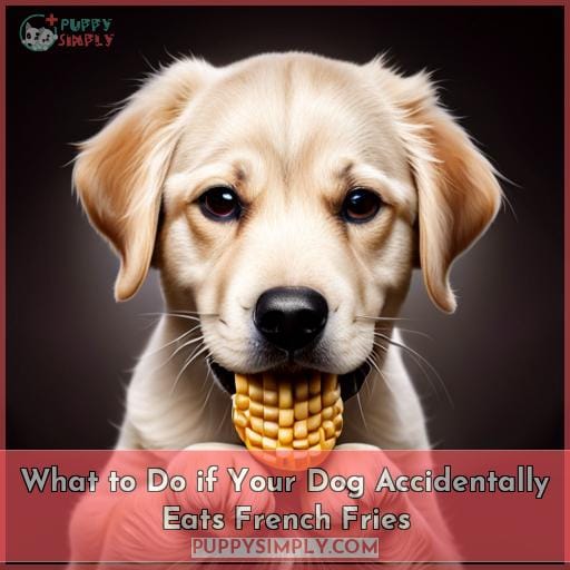 What to Do if Your Dog Accidentally Eats French Fries