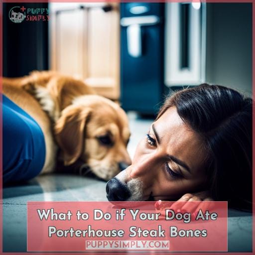 What to Do if Your Dog Ate Porterhouse Steak Bones