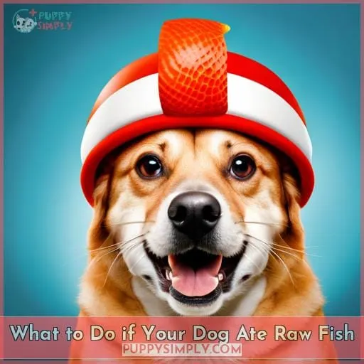 What to Do if Your Dog Ate Raw Fish