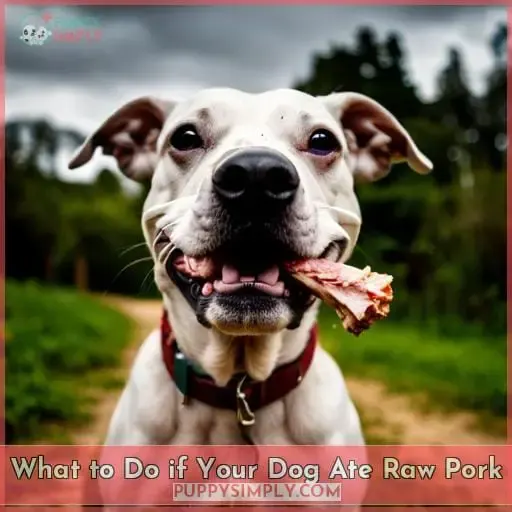 What to Do if Your Dog Ate Raw Pork