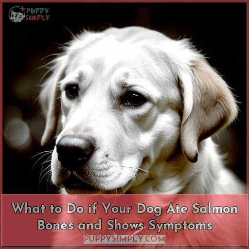 What to Do if Your Dog Ate Salmon Bones and Shows Symptoms