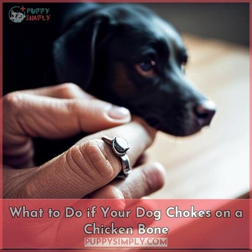 What to Do if Your Dog Chokes on a Chicken Bone