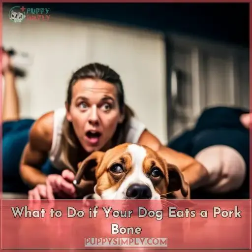 What to Do if Your Dog Eats a Pork Bone