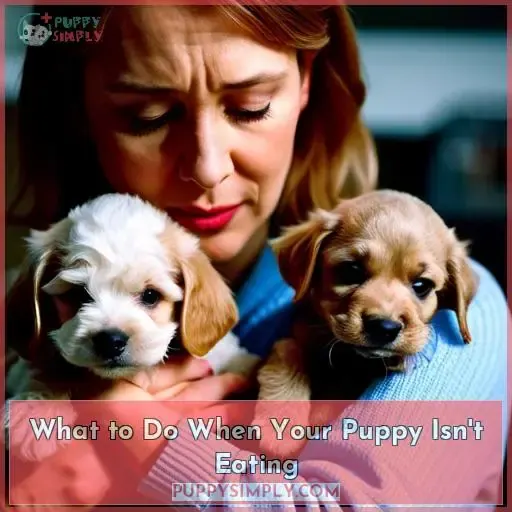 What to Do When Your Puppy Isn