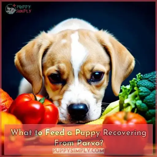 What to Feed a Puppy Recovering From Parvo?