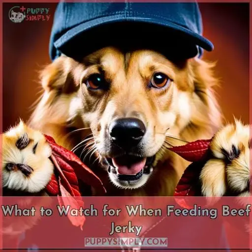 What to Watch for When Feeding Beef Jerky