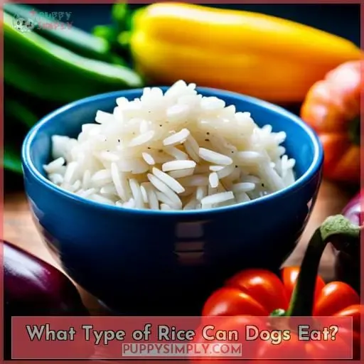 What Type of Rice Can Dogs Eat?