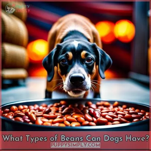 What Types of Beans Can Dogs Have?
