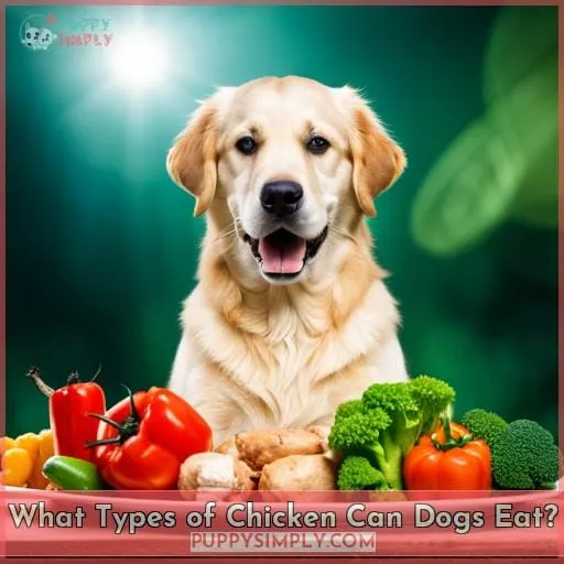 What Types of Chicken Can Dogs Eat?