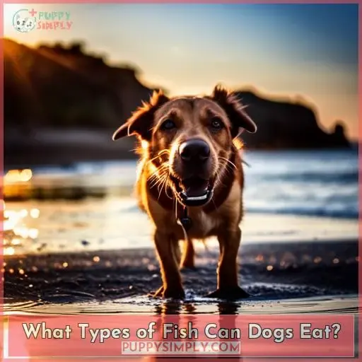 What Types of Fish Can Dogs Eat?