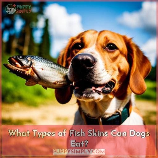 Can Dogs Eat Cooked Fish Skins? Is Fish Skin Safe for Dogs?