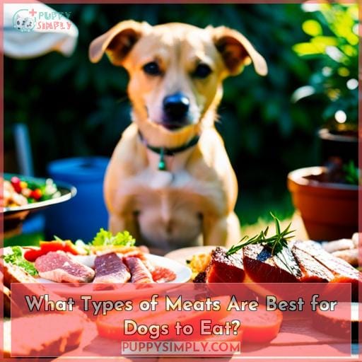 What Types of Meats Are Best for Dogs to Eat?