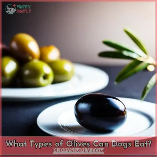 What Types of Olives Can Dogs Eat