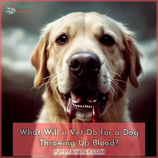 What Will a Vet Do for a Dog Throwing Up Blood