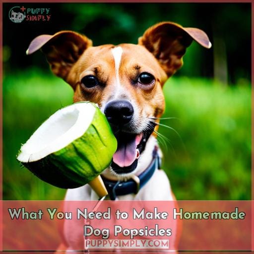 What You Need to Make Homemade Dog Popsicles
