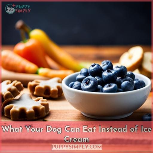What Your Dog Can Eat Instead of Ice Cream