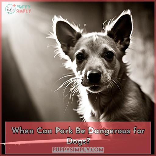 When Can Pork Be Dangerous for Dogs?