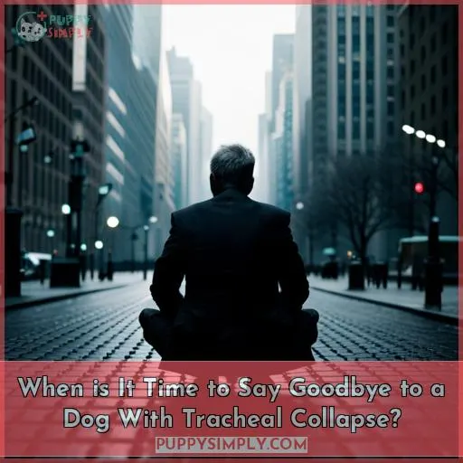 when euthanize dog tracheal collapse
