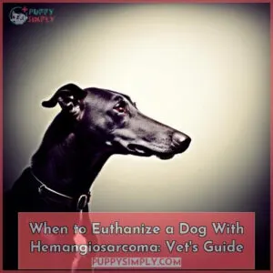 when euthanize dog with hemangiosarcoma