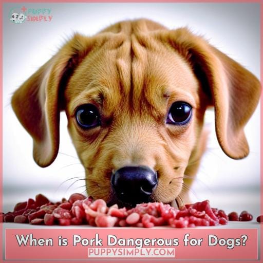 When is Pork Dangerous for Dogs