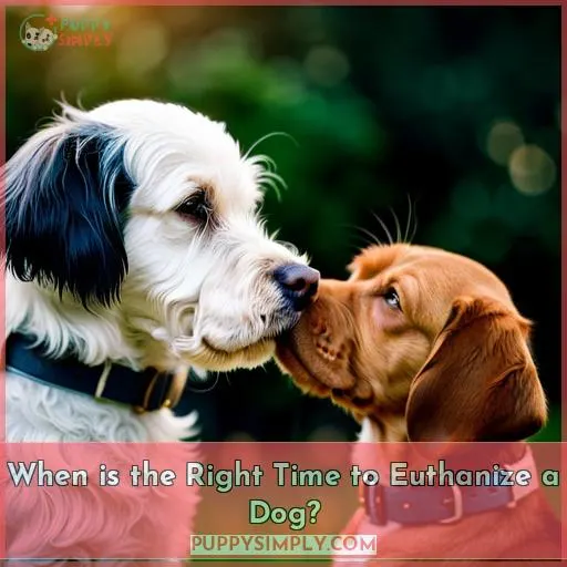 When is the Right Time to Euthanize a Dog?