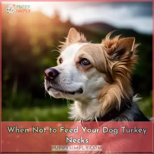 When Not to Feed Your Dog Turkey Necks