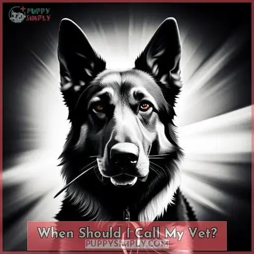 When Should I Call My Vet?