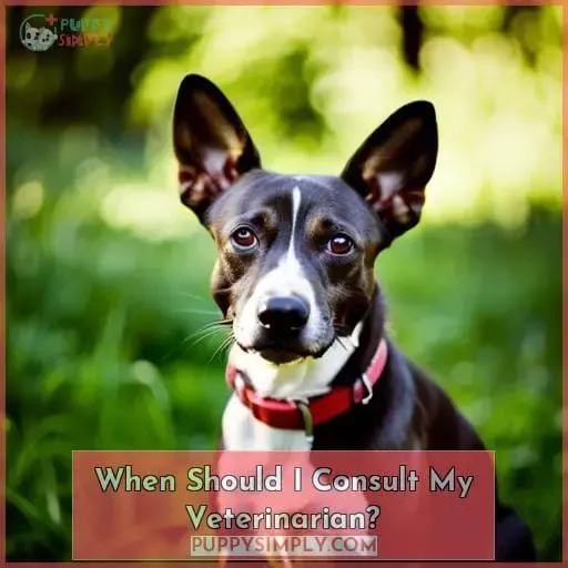 When Should I Consult My Veterinarian