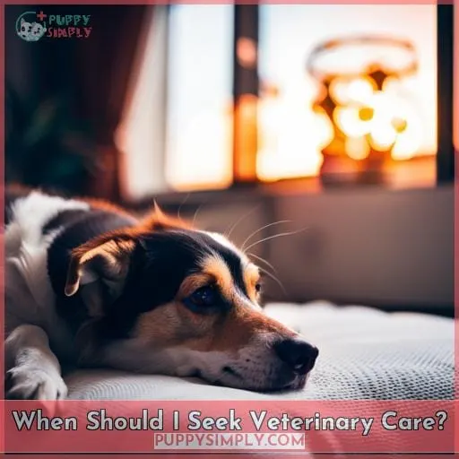 When Should I Seek Veterinary Care?