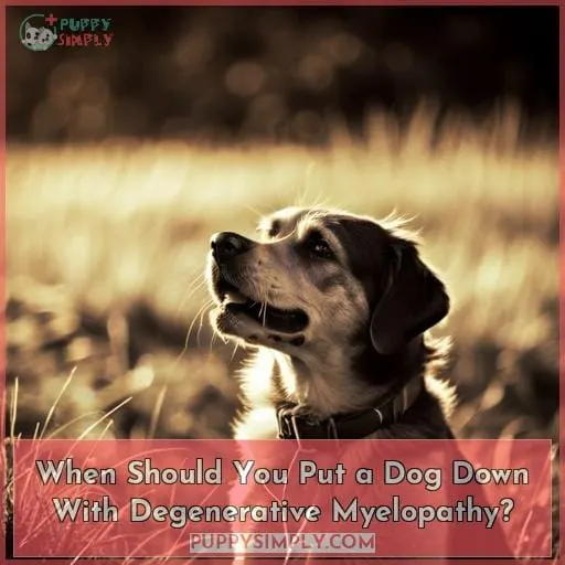 When Should You Put a Dog Down With Degenerative Myelopathy?