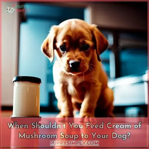 When Shouldn’t You Feed Cream of Mushroom Soup to Your Dog?