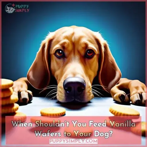 When Shouldn’t You Feed Vanilla Wafers to Your Dog?