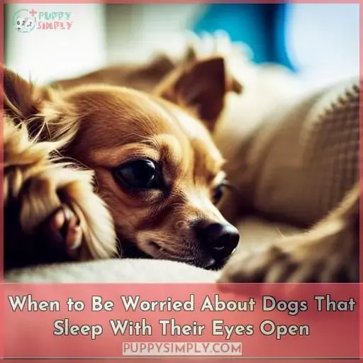 When to Be Worried About Dogs That Sleep With Their Eyes Open