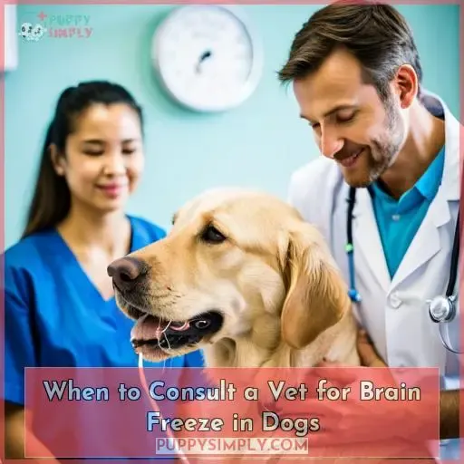 When to Consult a Vet for Brain Freeze in Dogs
