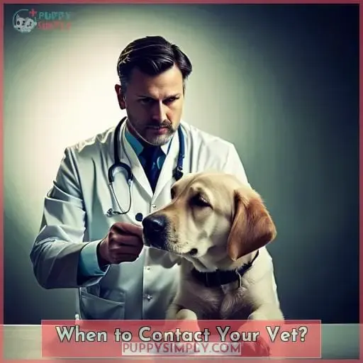 When to Contact Your Vet