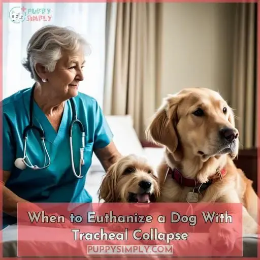 When to Euthanize a Dog With Tracheal Collapse