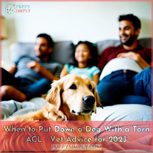 When to Put Down a Dog With a Torn ACL Vet Advice for 2023