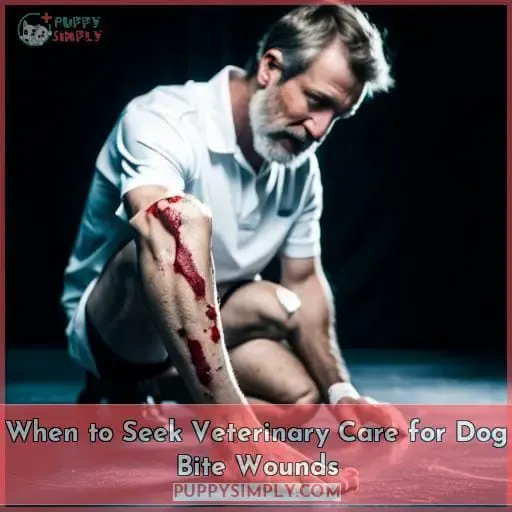 When to Seek Veterinary Care for Dog Bite Wounds