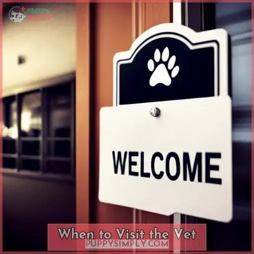 When to Visit the Vet