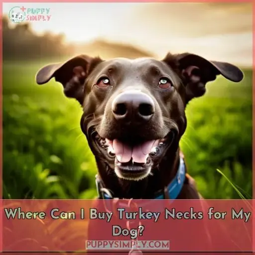 Where Can I Buy Turkey Necks for My Dog?