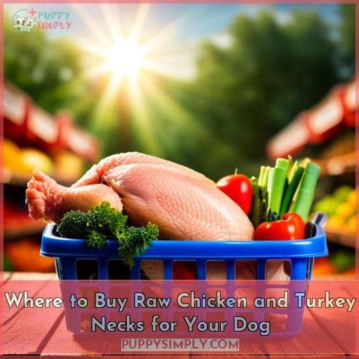 Where to Buy Raw Chicken and Turkey Necks for Your Dog