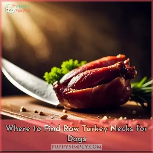Where to Find Raw Turkey Necks for Dogs