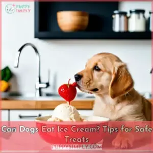 which ice cream can dogs eat
